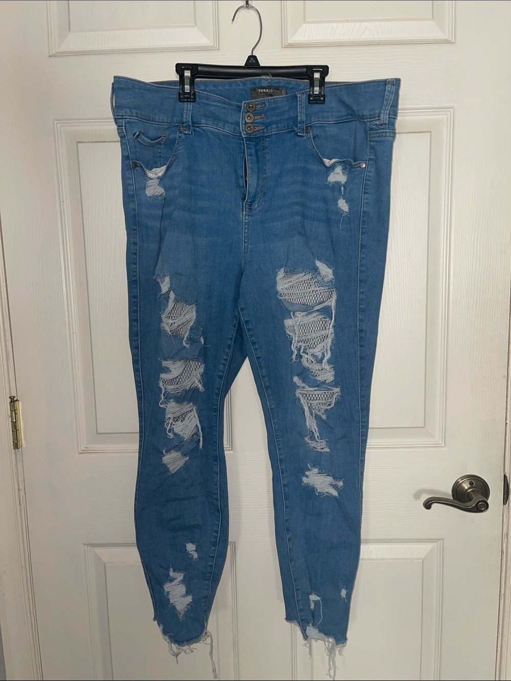 torrid Distressed Jegging with fishnet detail